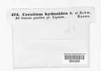 Image Associated With the Occurence